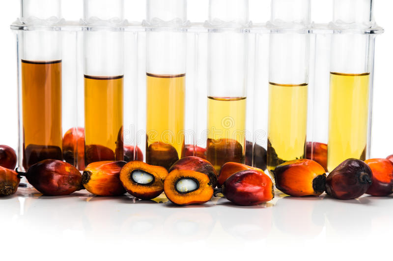 Shreyanvi Agro Commodities